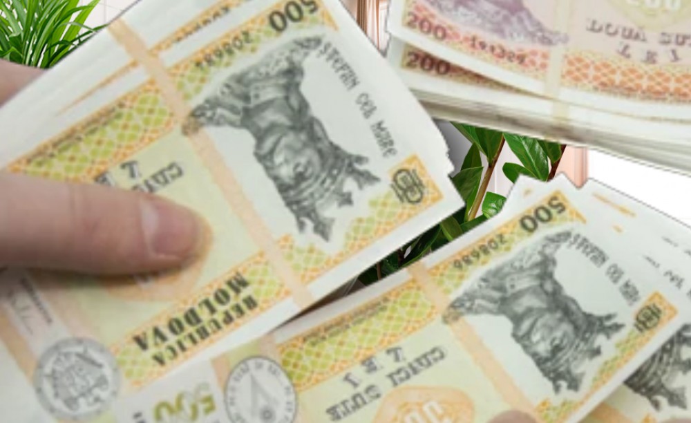 Patru plante care aduc noroc în casă